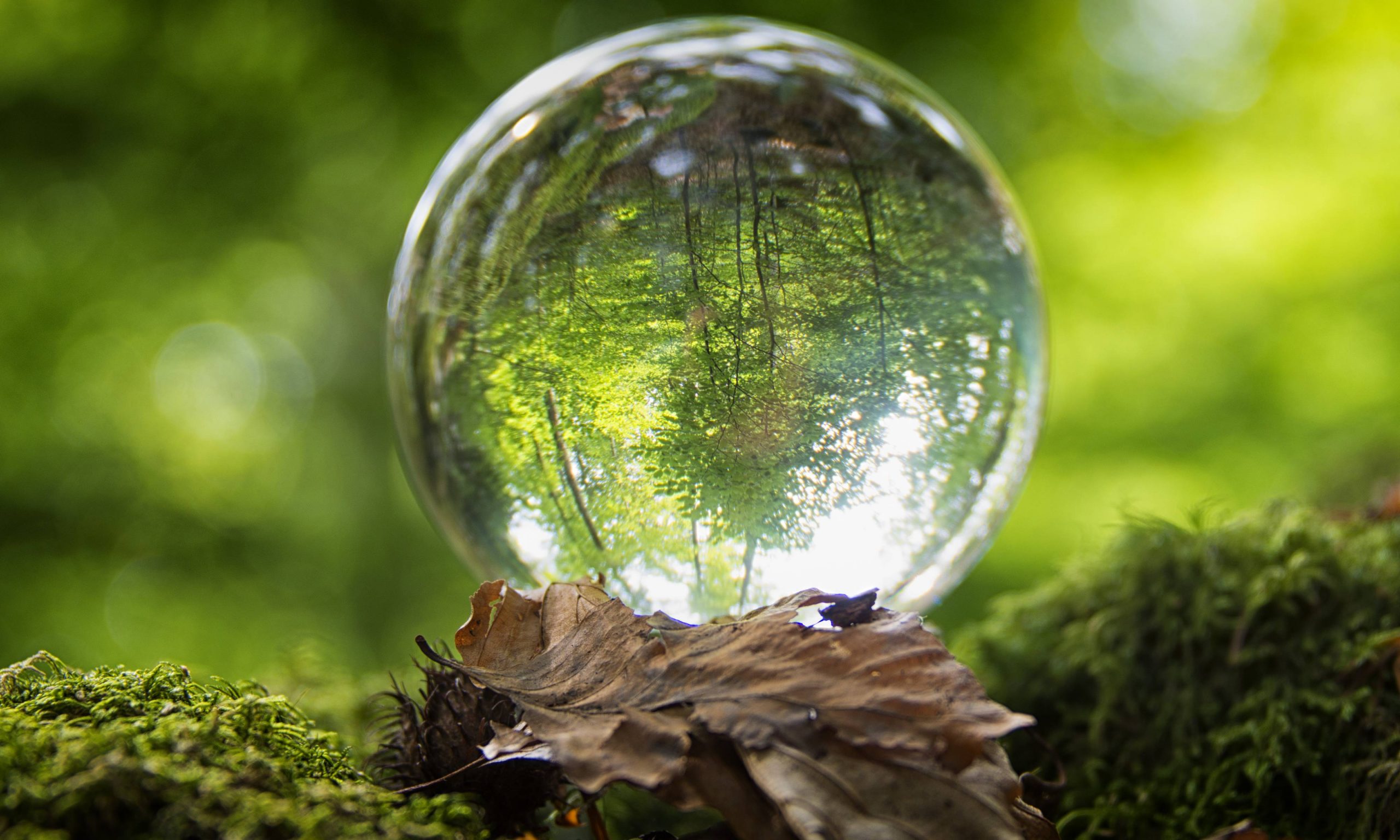 Nationalpark FerienLand Bayerischer Wald Glas Faszination