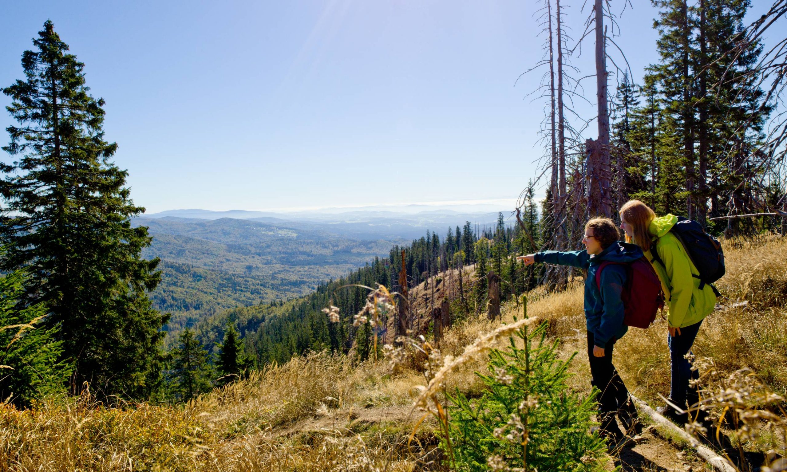 Nationalpark-FerienLand Bayerischer Wald | Erlebnisse