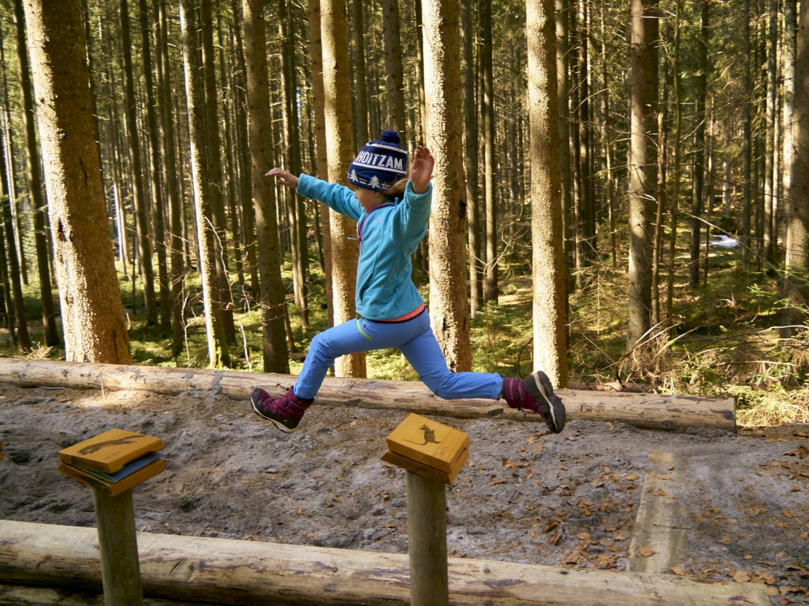 Nationalpark-FerienLand Bayerischer Wald | Waldspielgelände