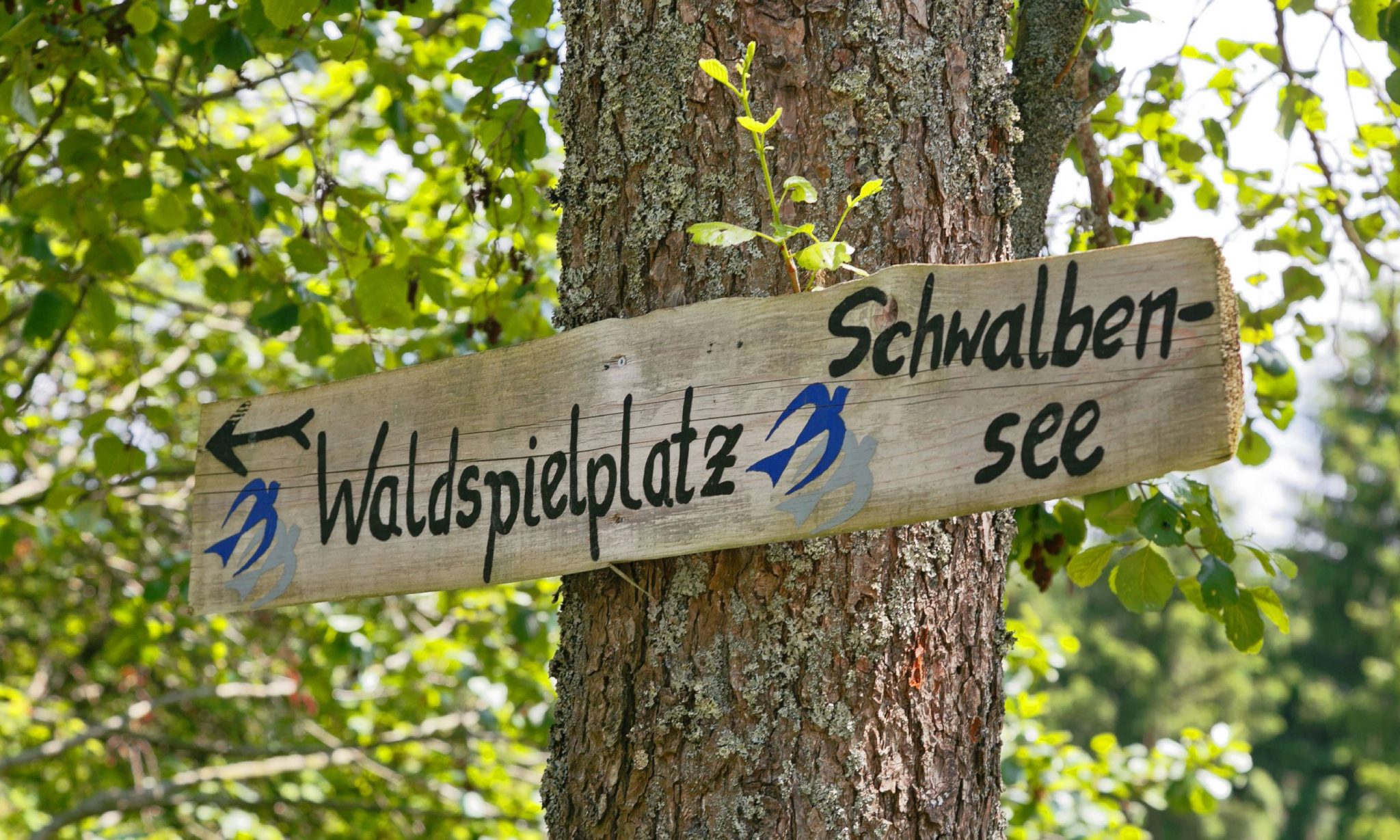 Nationalpark-FerienLand Bayerischer Wald | Waldspielplatz Neureichenau