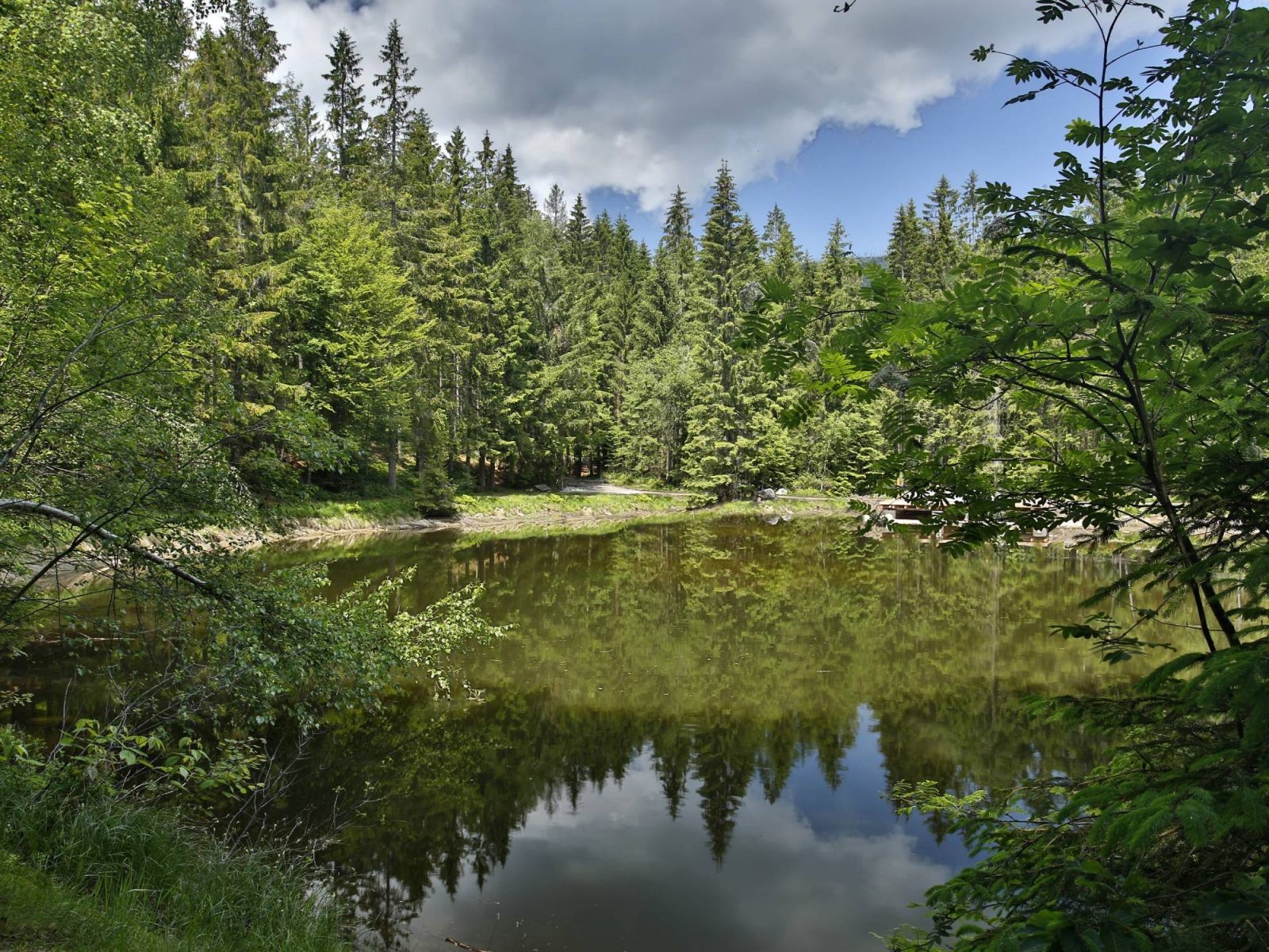 Nationalpark-FerienLand Bayerischer Wald | Waldspielplatz Neureichenau