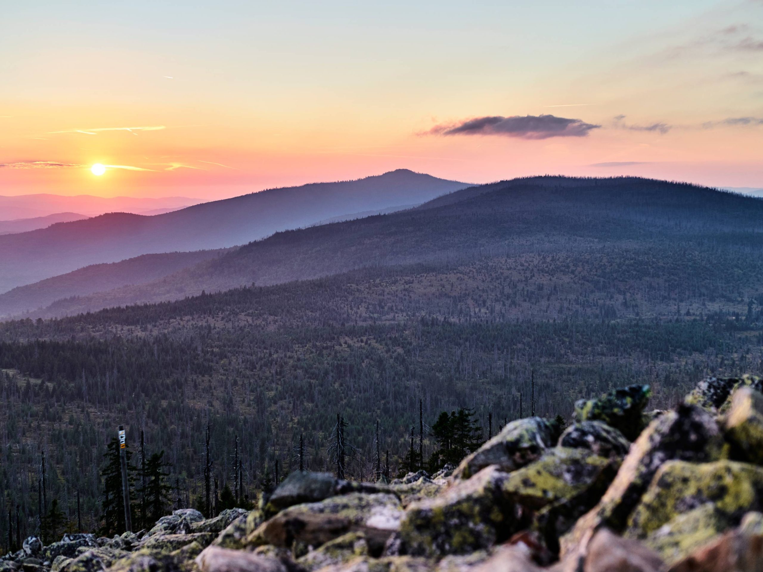 Nationalpark-FerienLand Bayerischer Wald | Startseite