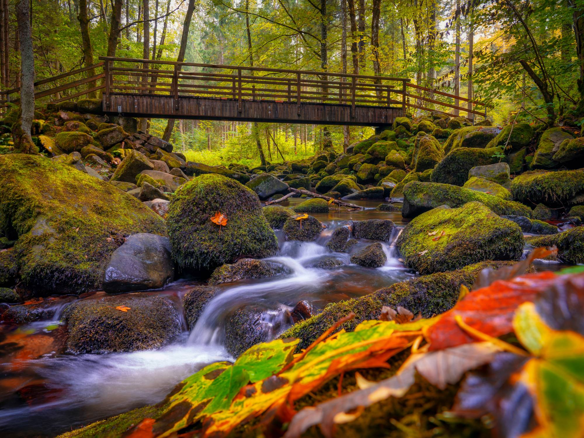 Nationalpark-FerienLand Bayerischer Wald | Startseite