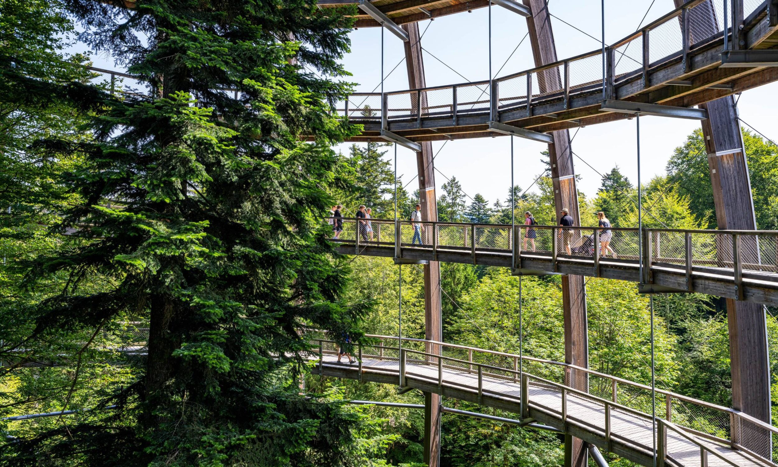 DO MUASST HI Baumwipfelpfad Neuschönau Nationalpark Bayerischer Wald