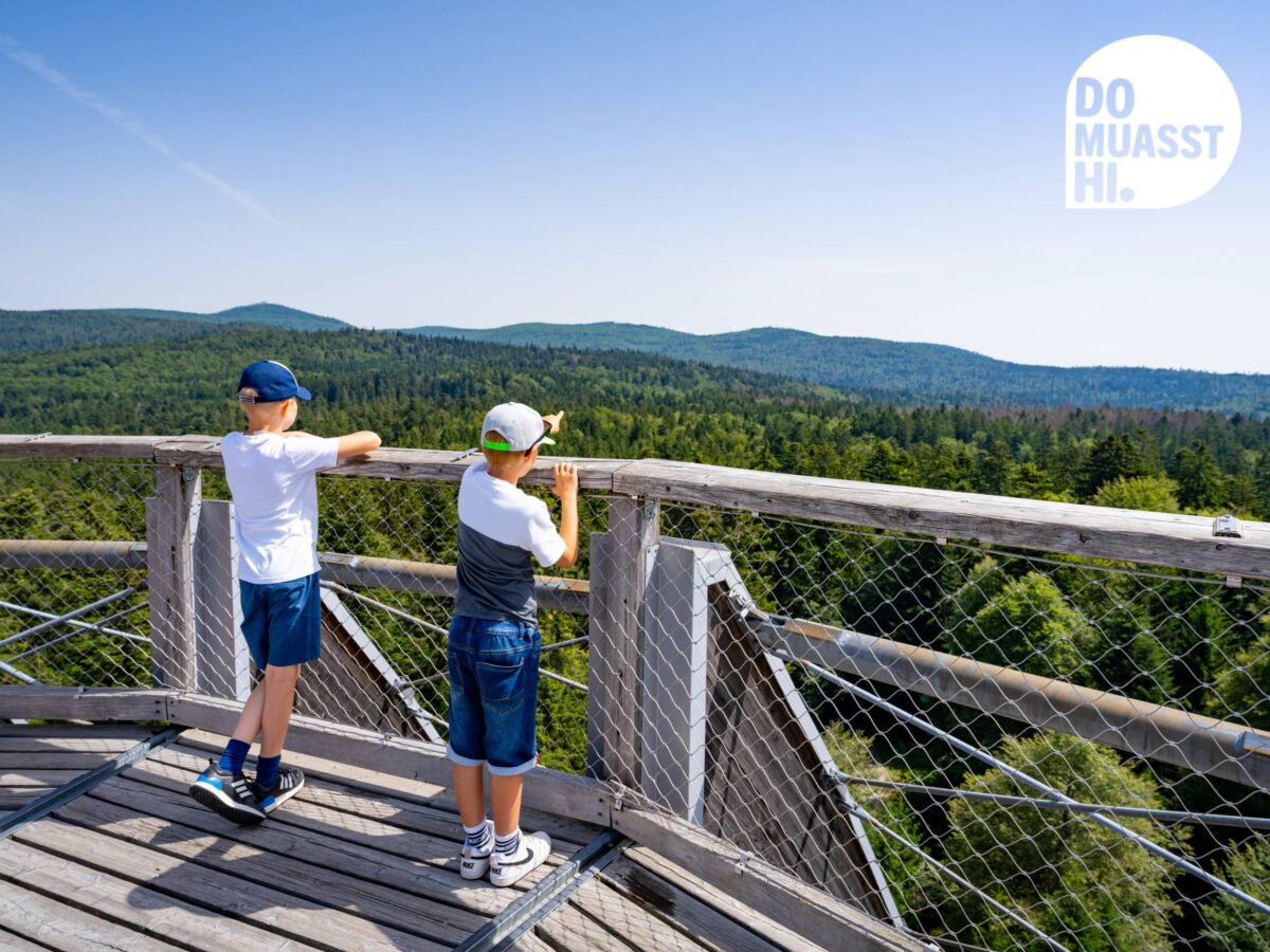 DO MUASST HI Baumwipfelpfad Neuschönau Nationalpark Bayerischer Wald