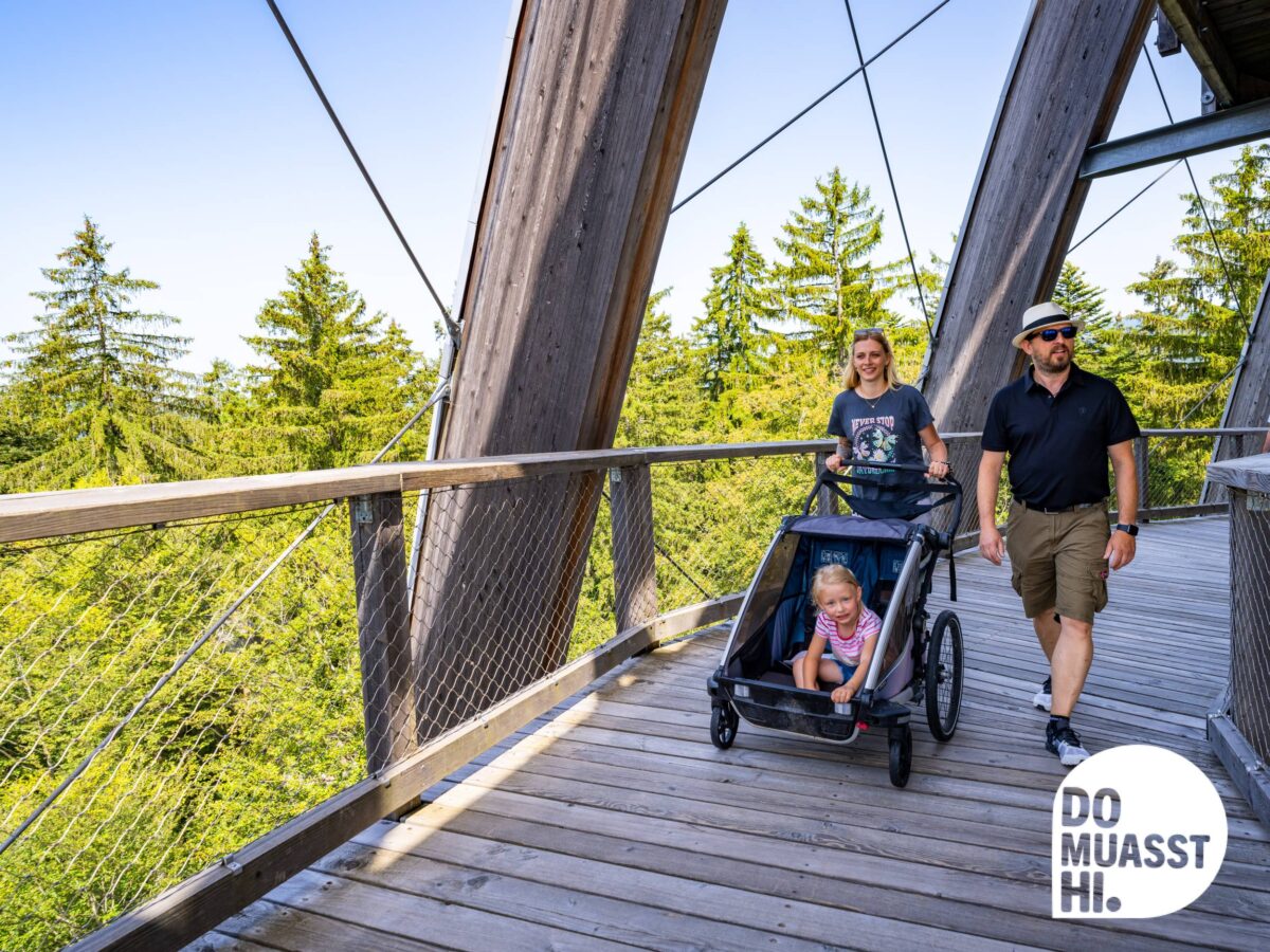 DO MUASST HI Baumwipfelpfad Neuschönau Nationalpark Bayerischer Wald