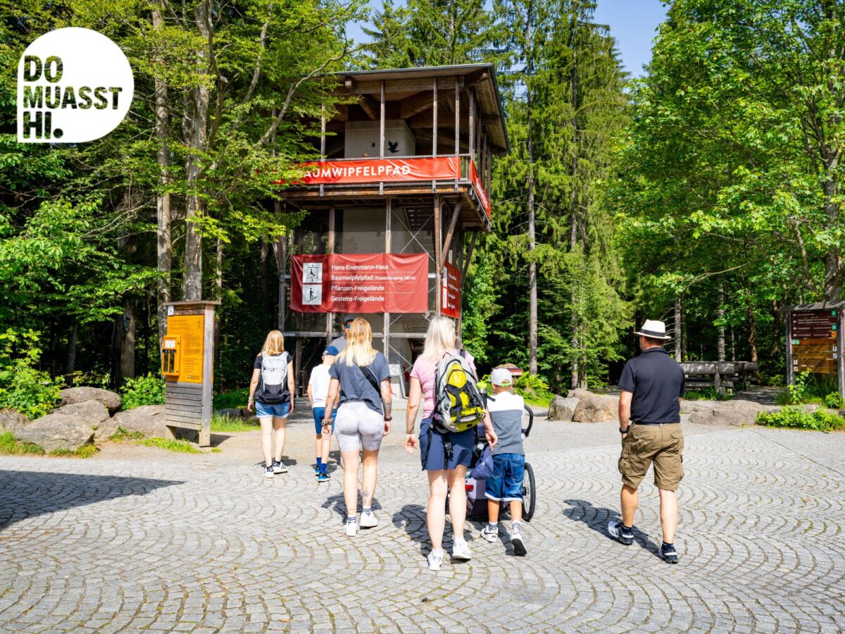 DO MUASST HI Baumwipfelpfad Neuschönau Nationalpark Bayerischer Wald